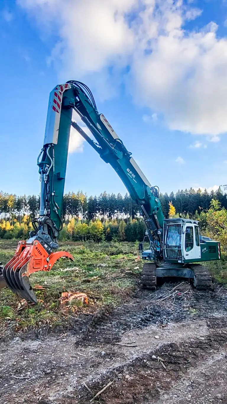 Fäll-Bagger bei Rodungsarbeiten im Wald